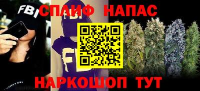 гашик Кулебаки