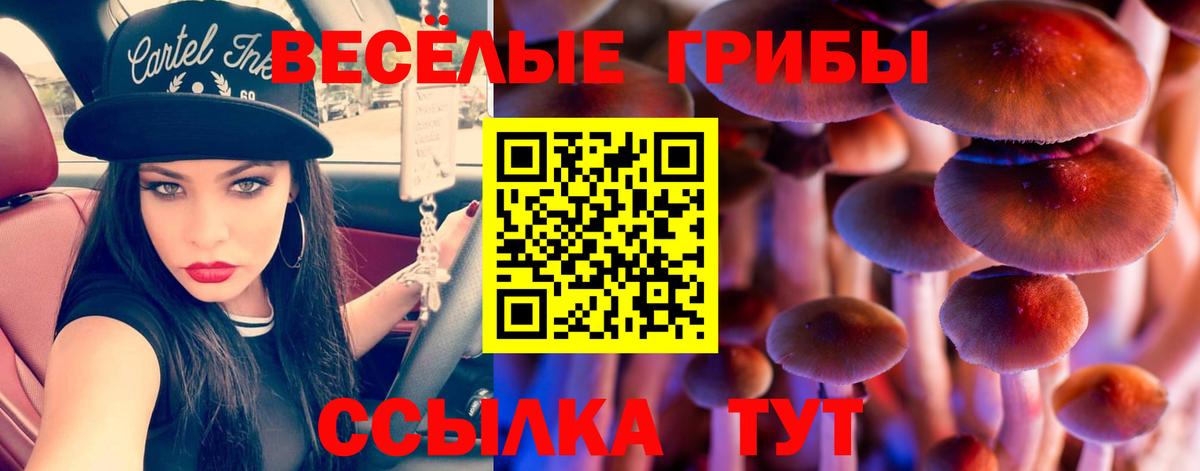 Зеленокумск  Галлюциногенные грибы Psilocybe  Галлюциногенные грибы Magic Shrooms  Вход с VPN 